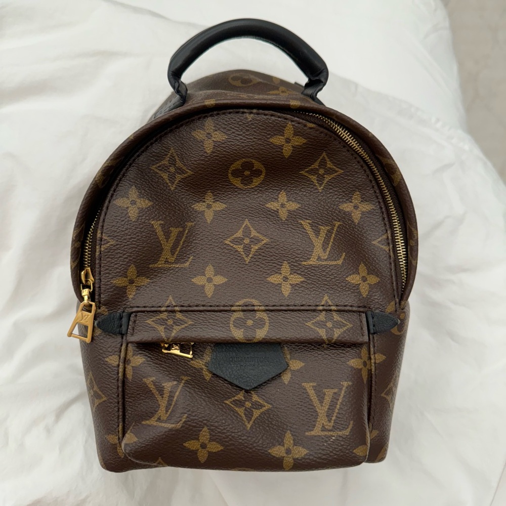 Louis Vuitton Womens Palm Springs Mini Backpack